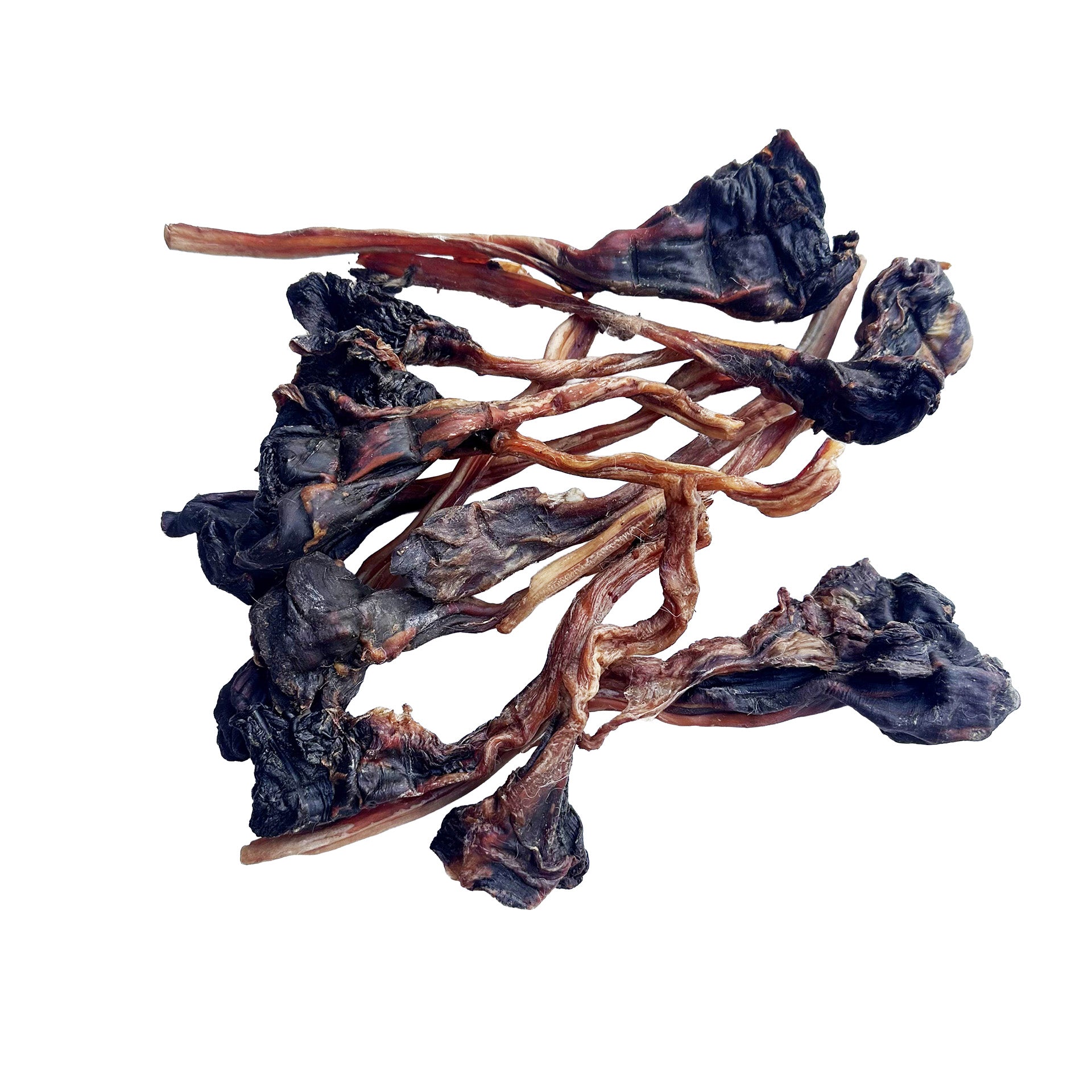Kangaroo Tendons