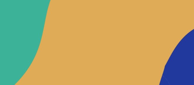 Free Shipping | PetzStore | Online Dog & Cat Toys, Accessories, Beds and more