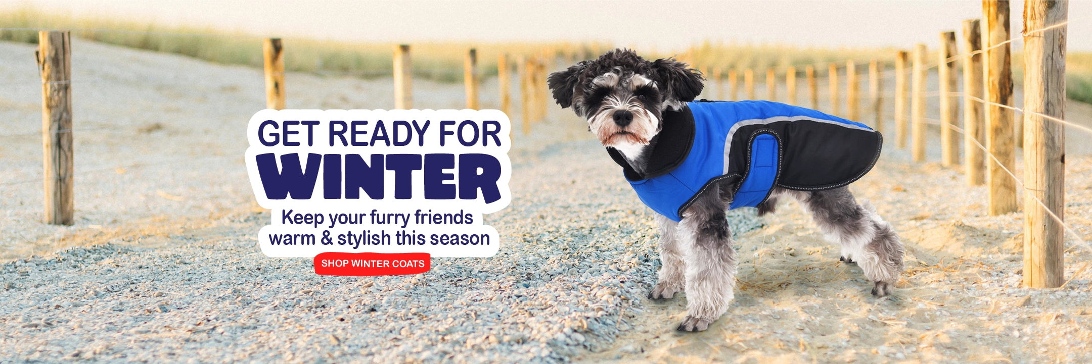 PetzStore Australia Online shop for dogs and cats