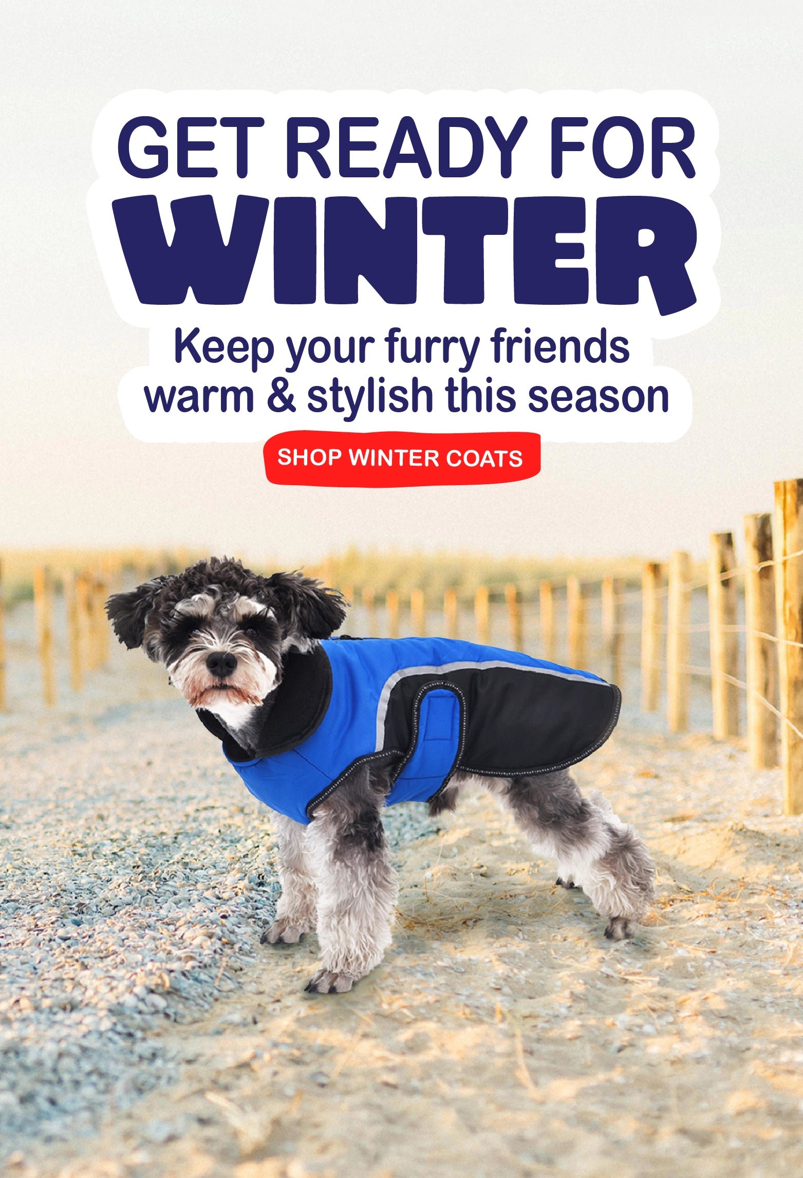 PetzStore Australia Online shop for dogs and cats