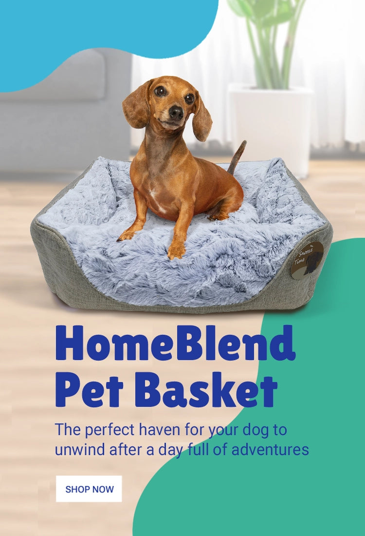 PetzStore | Online Dog & Cat Toys, Accessories, Beds and more