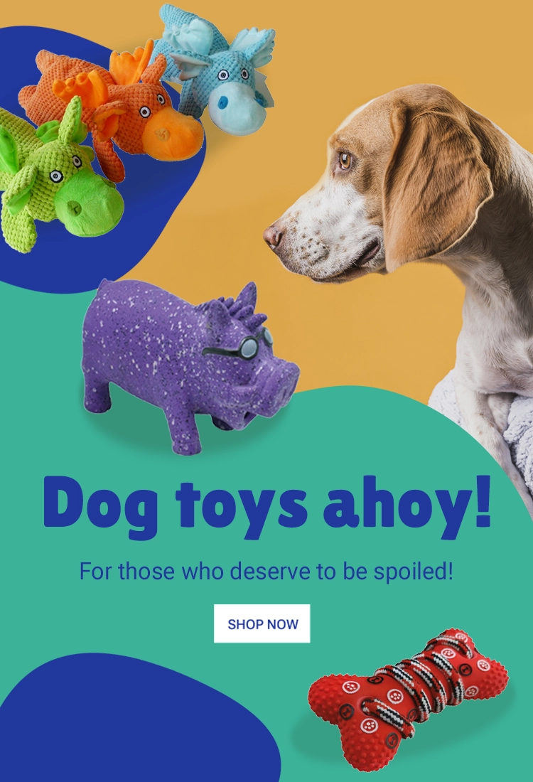 PetzStore | Online Dog & Cat Toys, Accessories, Beds and more