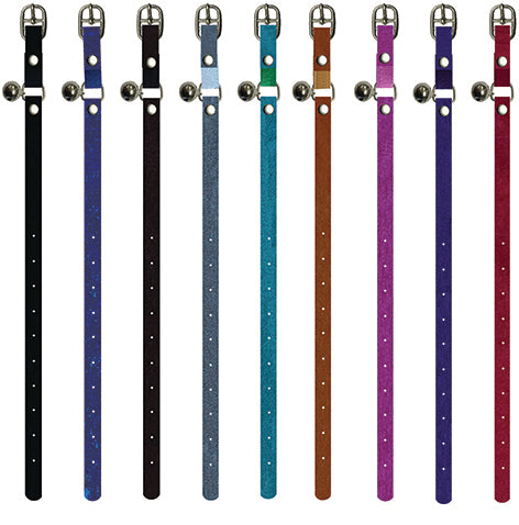 Leads & Collars - Cat