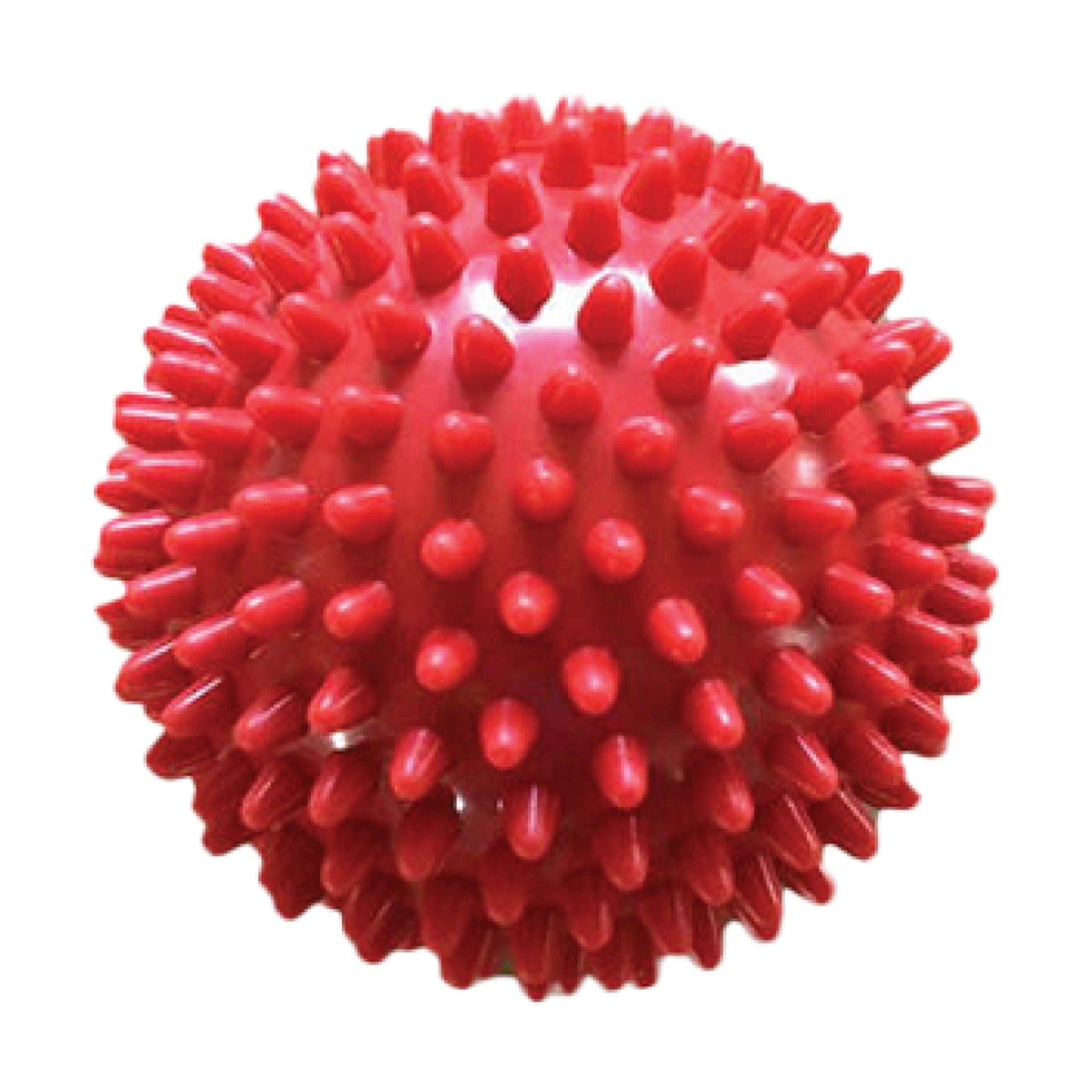 TPR Spikey Squeaky Balls