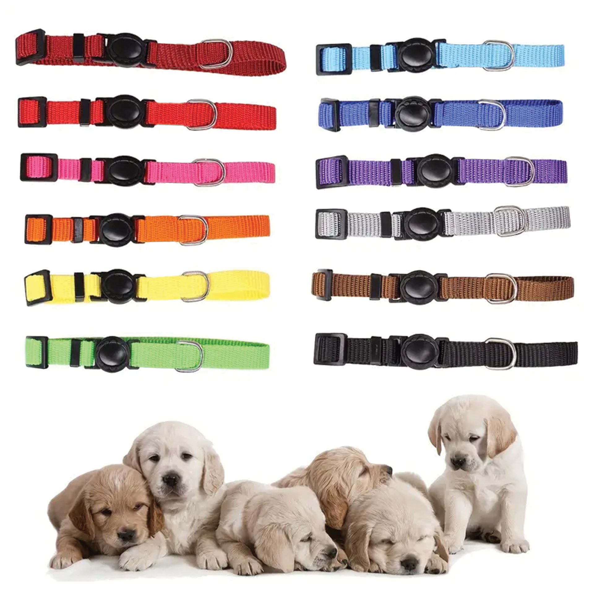Puppy/Kitten Safety ID Collars Whelping