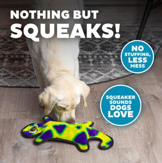 Outward Hound Invincibles Gecko